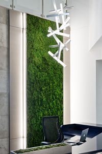 Interior Design Commercial Reception Accent Living Vertical Garden Wall