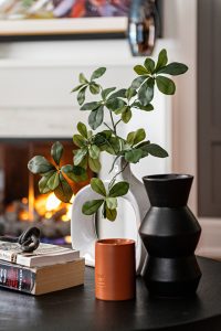 Home Office Interior Design Oakville Fireplace